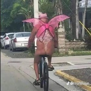 Meet your Posher, Lilly